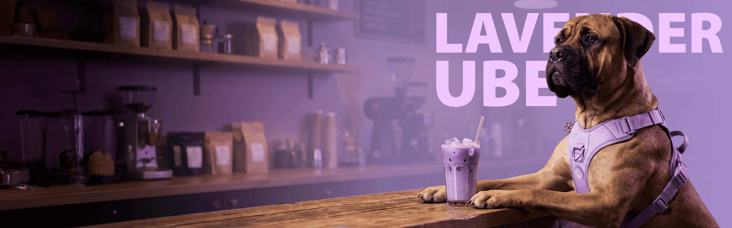 Unleash Innovation: Join the Pack